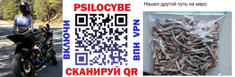 OMG ТОР  Верхний Тагил  Псилоцибиновые грибы MAGIC MUSHROOMS 